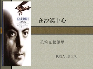 在沙漠中心 (3)