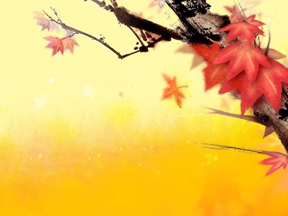 简洁优雅的PPT模板_第3页