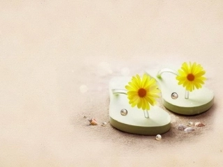 简洁优雅的PPT模板