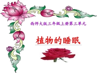 《植物的睡眠》说课课件