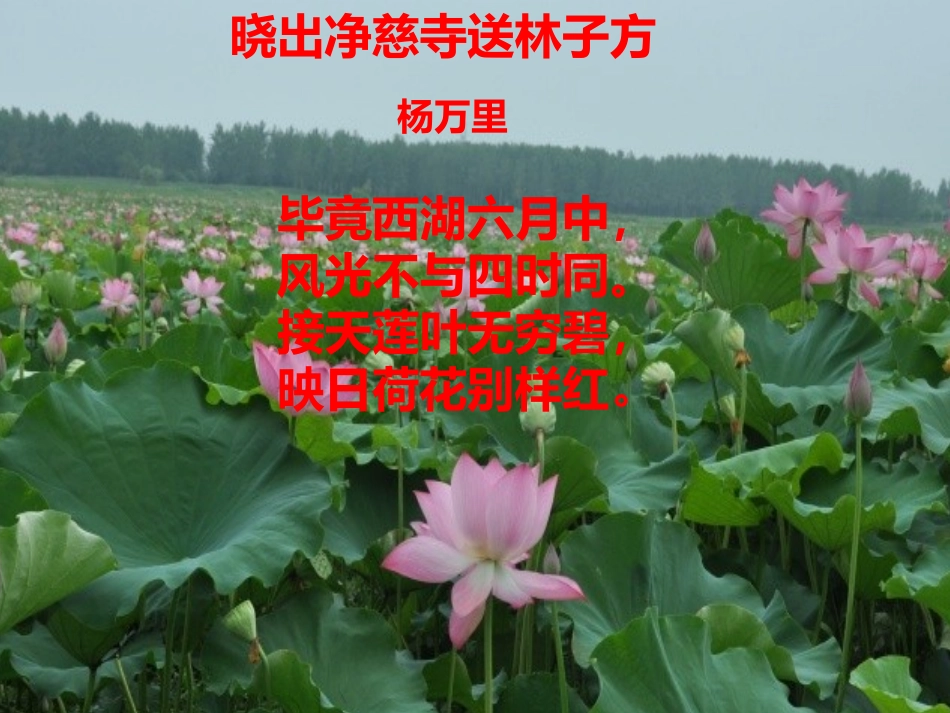 《晓出净慈寺送林子方》定稿 (2)_第2页