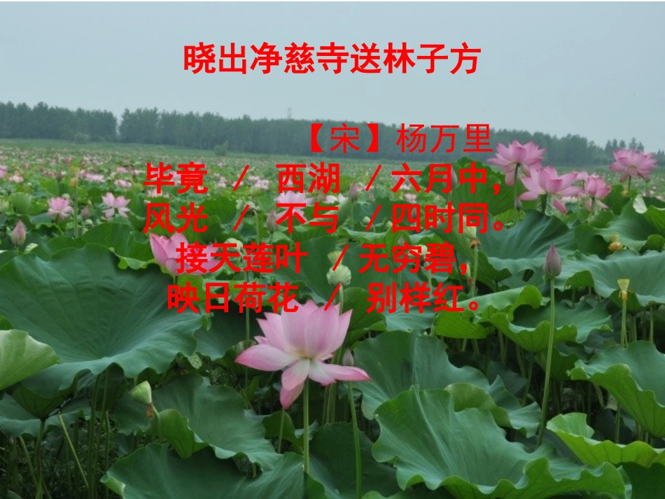 《晓出净慈寺送林子方》定稿 (2)_第3页