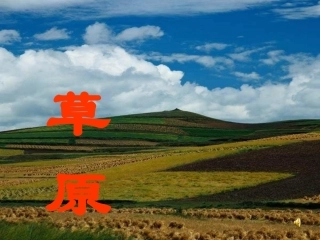 五年级语文下册草原