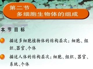 多细胞生物体的组成