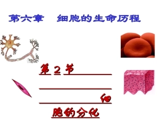 细胞的分化、衰老、癌变