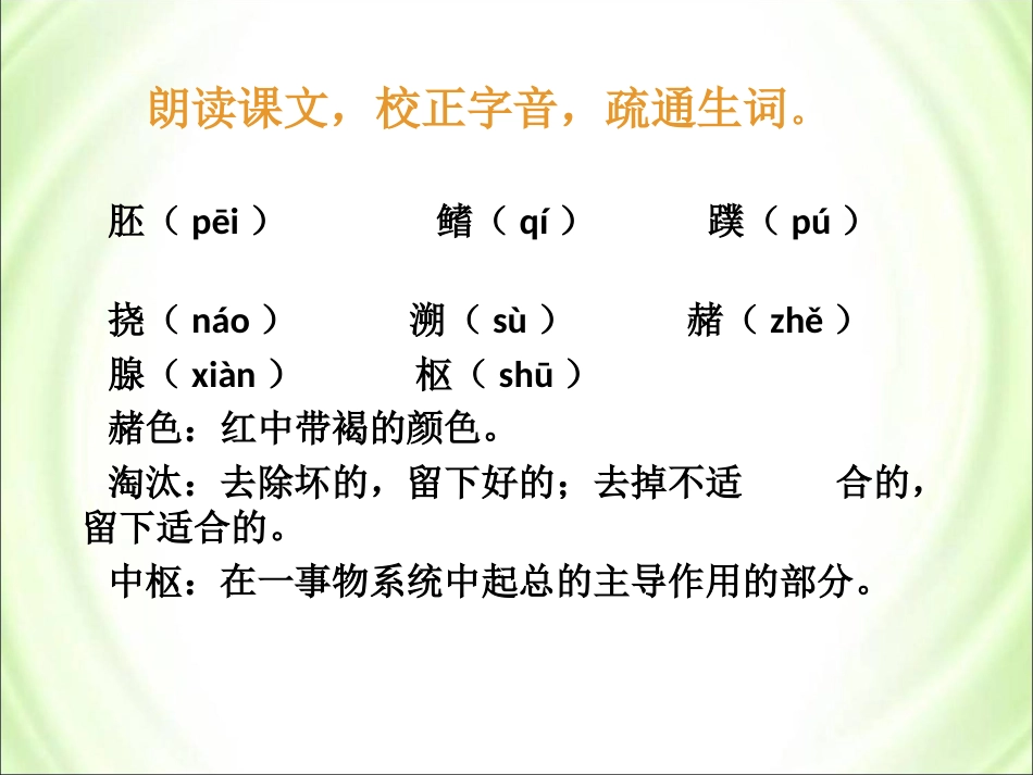 《我们这双手》参考课件3_第3页