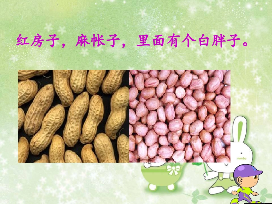小松鼠找花生12_第3页