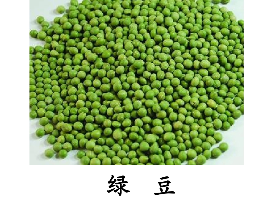 《豆儿圆》课件(1)_第2页