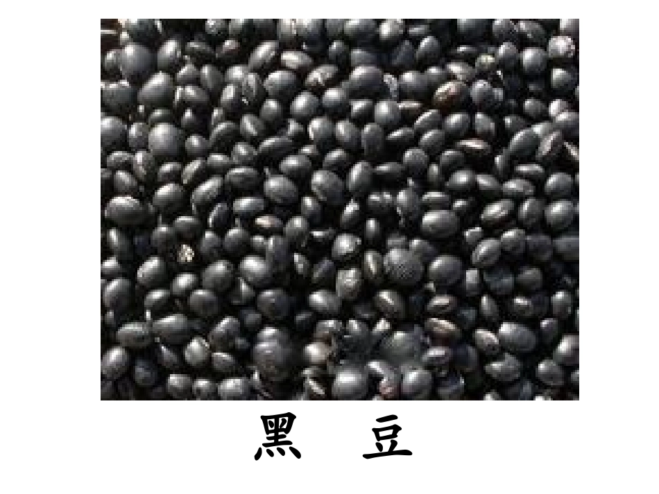 《豆儿圆》课件(1)_第3页