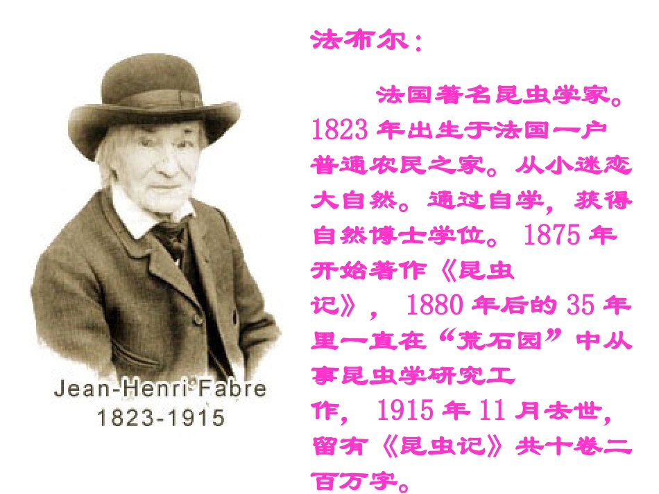 七年级语文上册23绿色蝈蝈课件（新版）新人教版_第2页