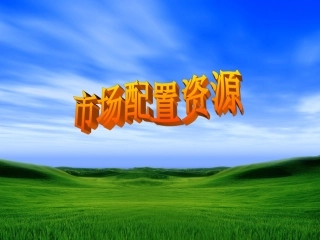 市场配置资源