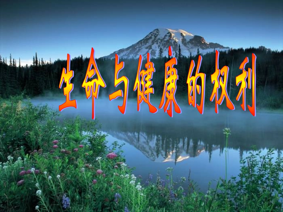 生命和健康的权利_第1页