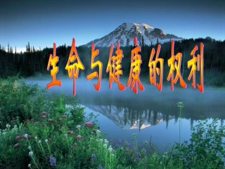 生命和健康的权利