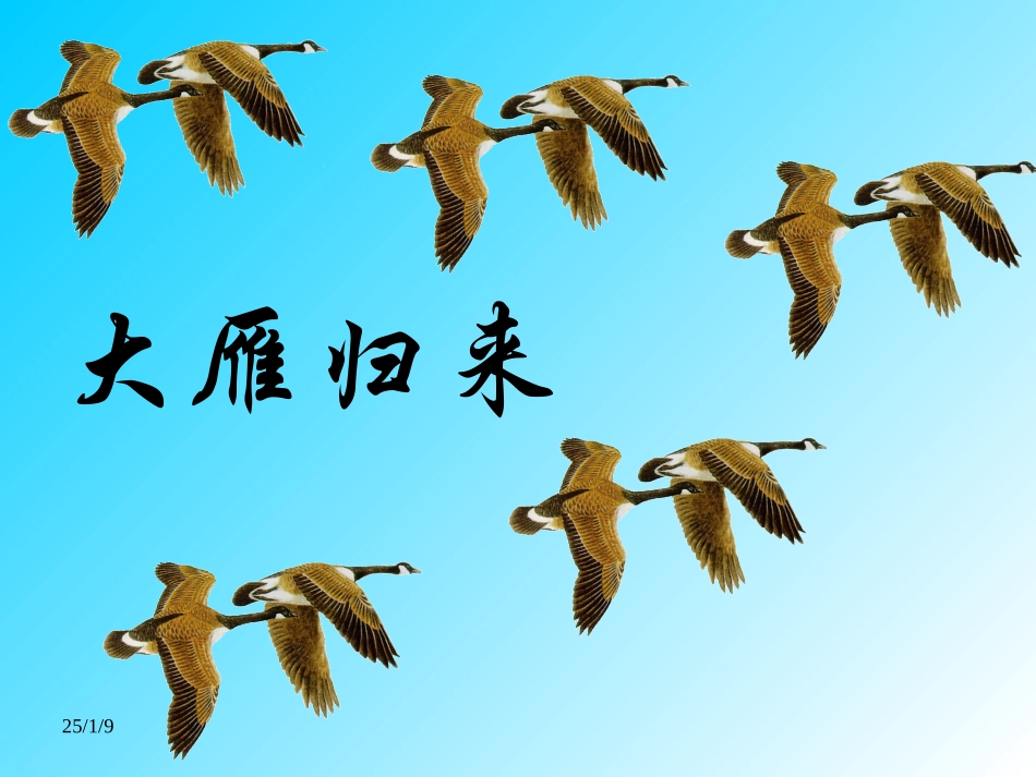 《大雁归来》课件10_第1页