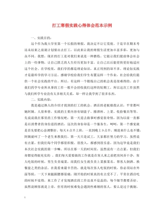 打工寒假实践心得体会范本示例 