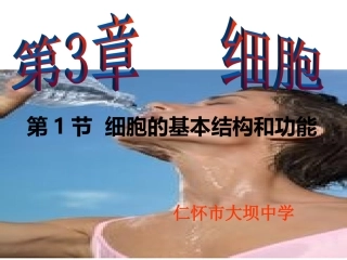 动植物细胞结构的比较4