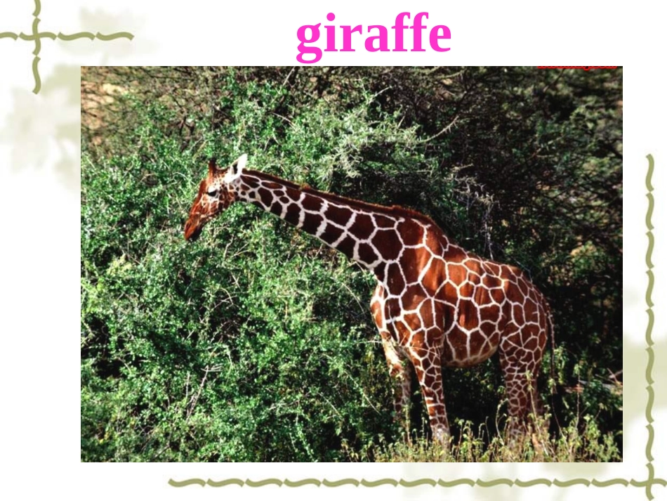 七年级英语下Unit5课件_第2页