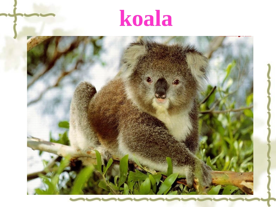 七年级英语下Unit5课件_第3页