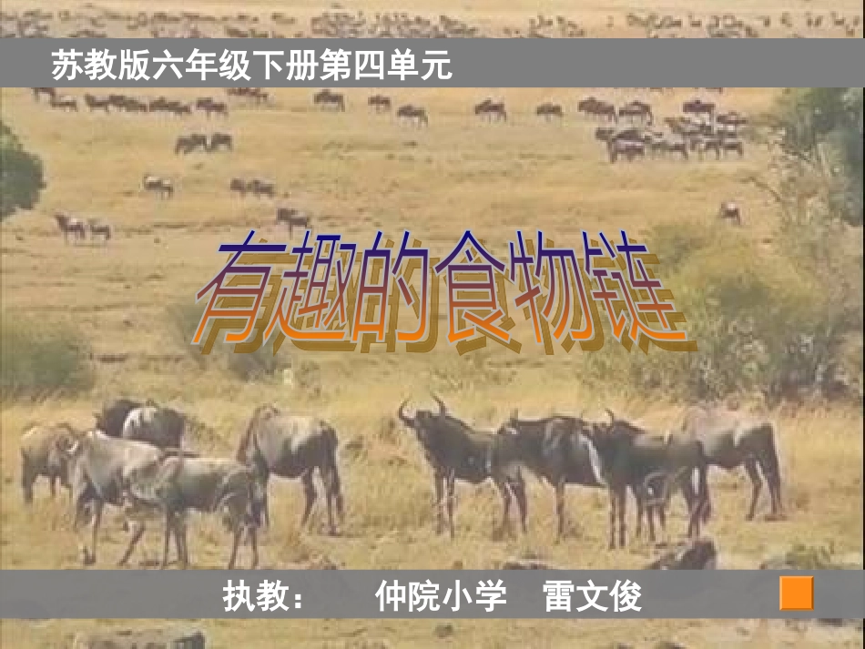 科学六下《有趣的食物链》PPT课件16_第1页