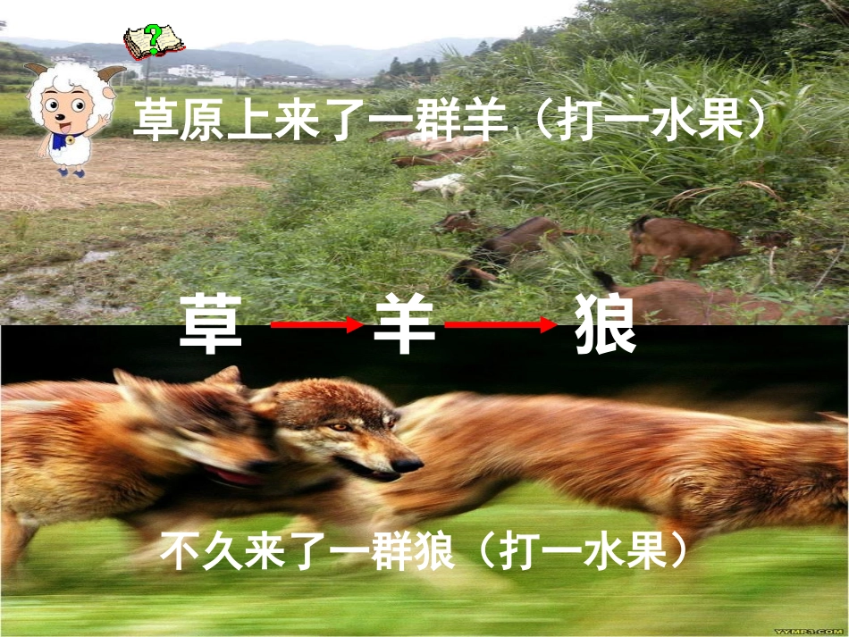 科学六下《有趣的食物链》PPT课件16_第2页