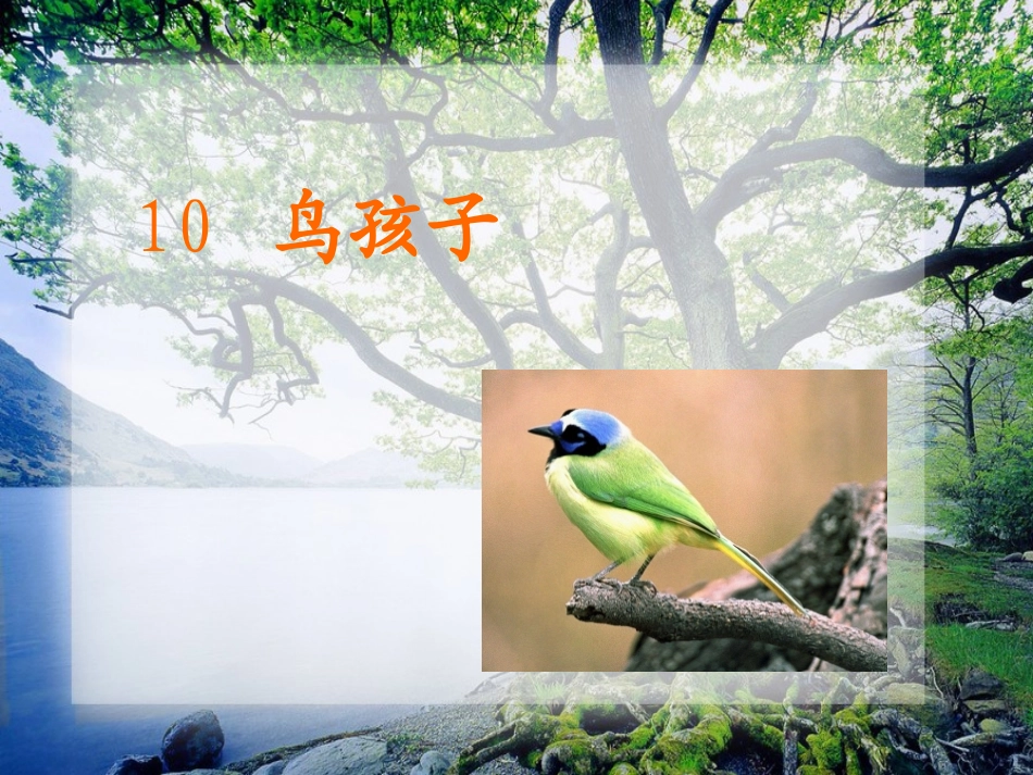 《鸟孩子》PPT_第2页