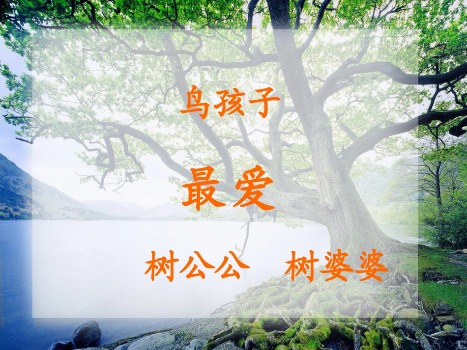 《鸟孩子》PPT_第3页