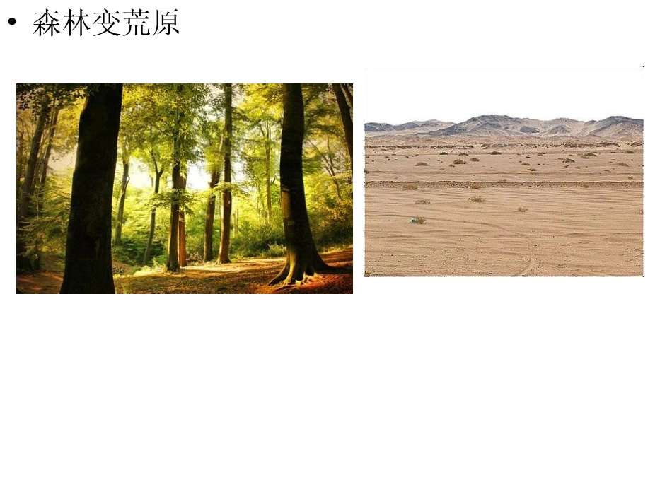 伤心的地球母亲演示文稿_第3页