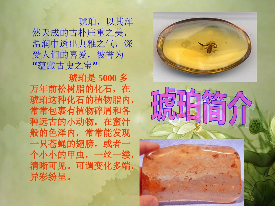 奇异的琥珀课件_第2页
