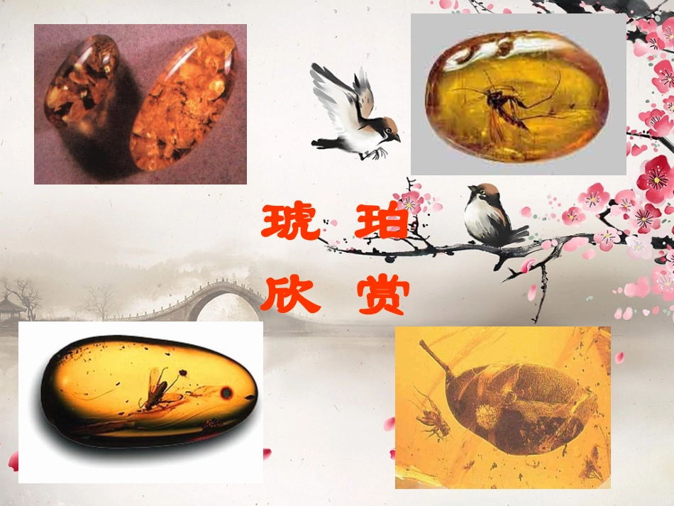 奇异的琥珀课件_第3页