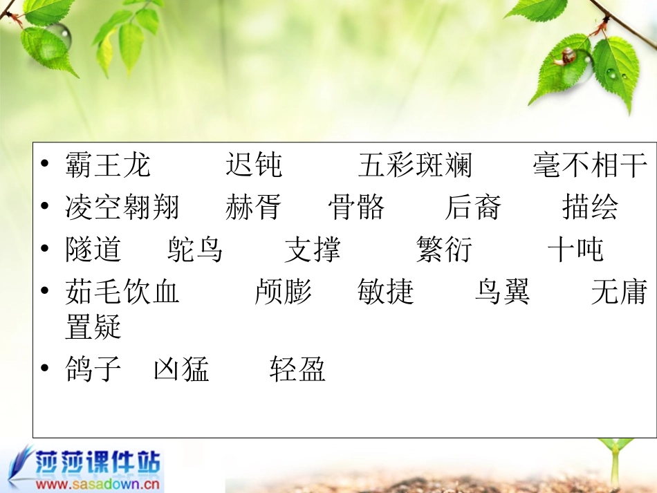四年级《飞向蓝天的恐龙》课件_第3页