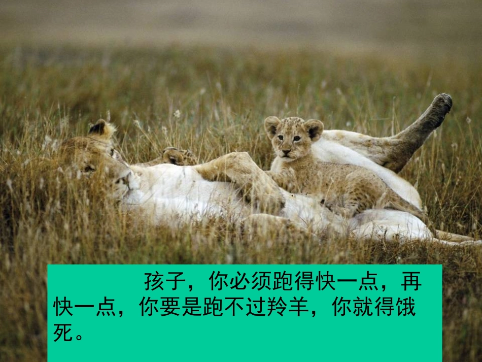 竞争？合作？_第2页