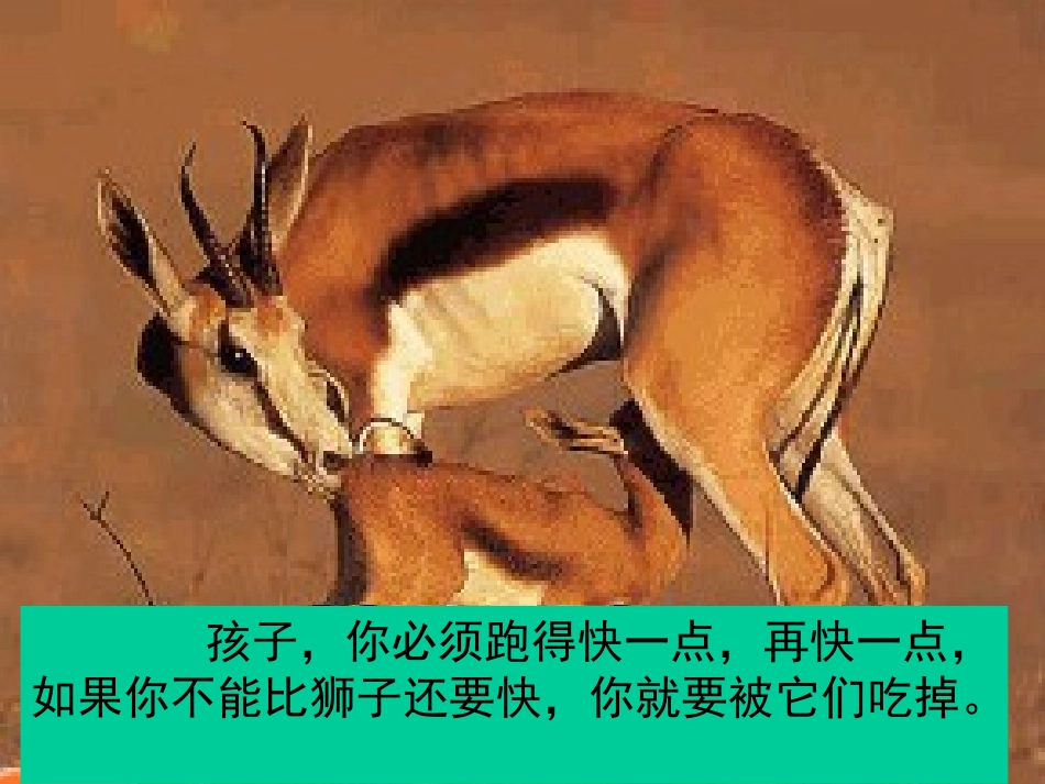 竞争？合作？_第3页