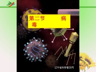 八年级下生物教案_第二节_病毒