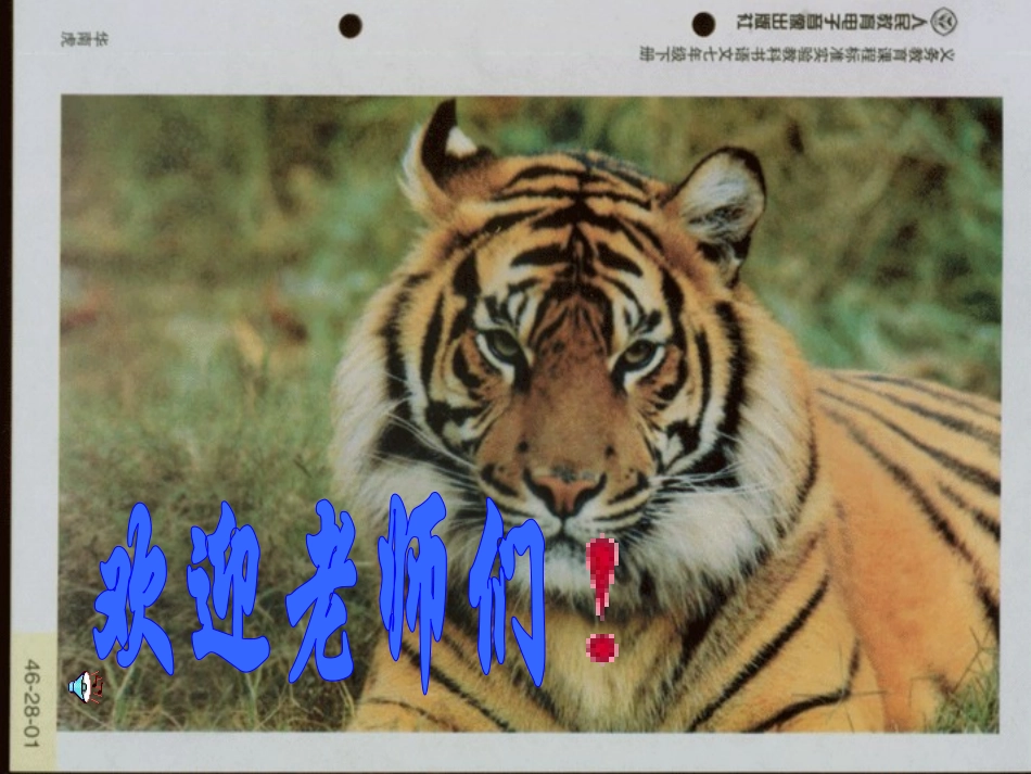 《华南虎》课件_第1页