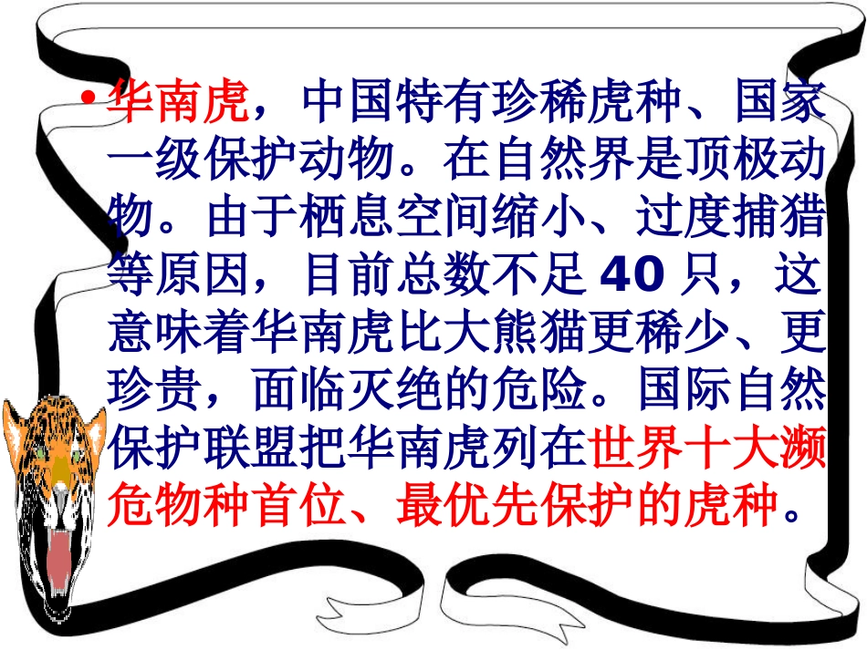 《华南虎》课件_第3页