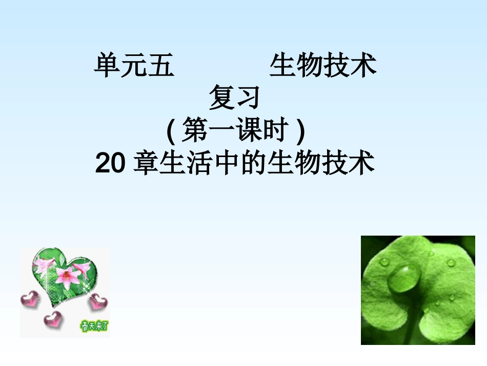 八年级生物日常生活中的生物技术_第1页