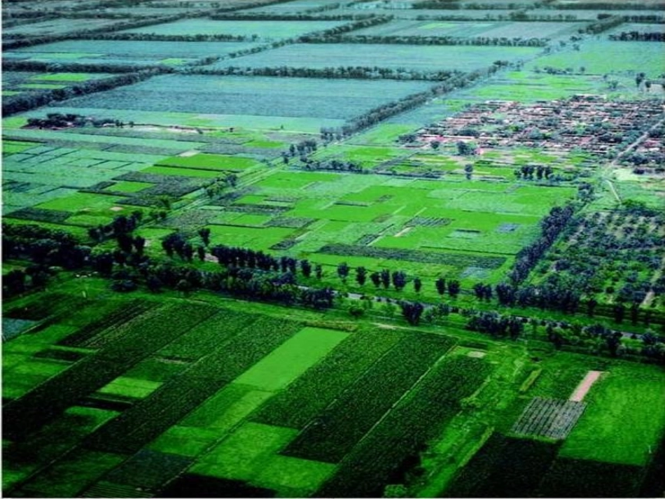 平行四边形的性质华师大八上_第2页