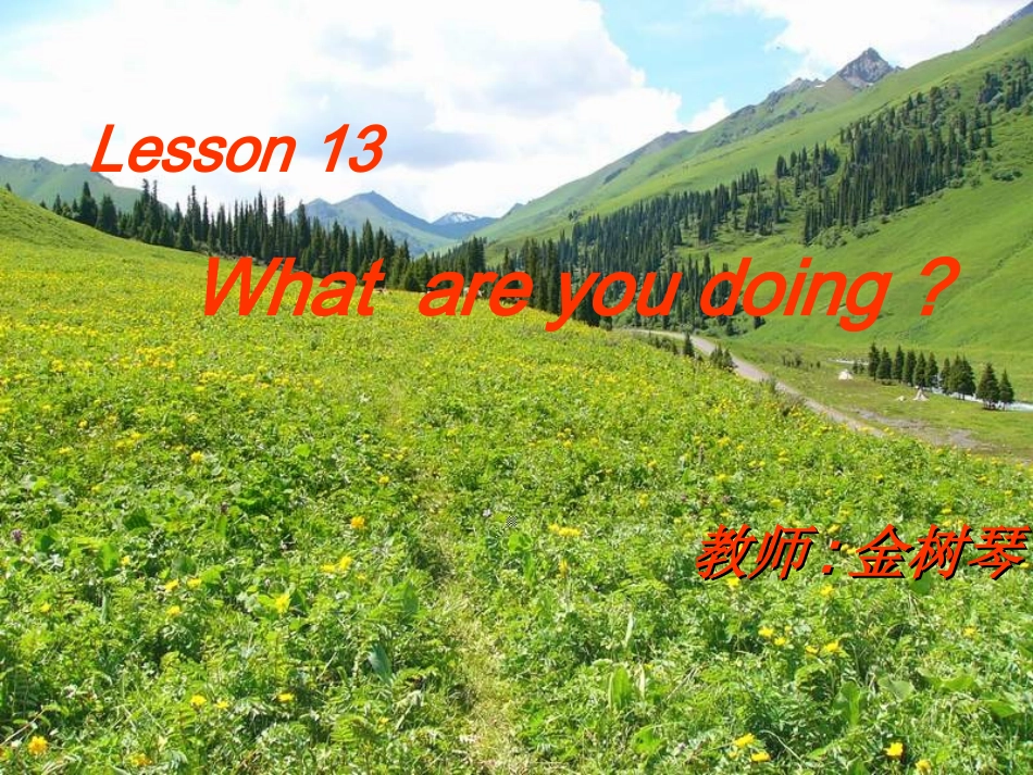七年级下册第二单元Lesson13Whatareyoudoing_第1页