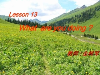 七年级下册第二单元Lesson13Whatareyoudoing