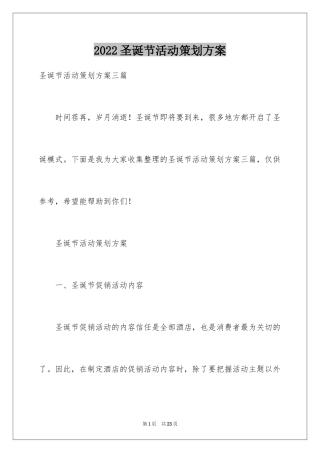 2024圣诞节活动策划方案_14