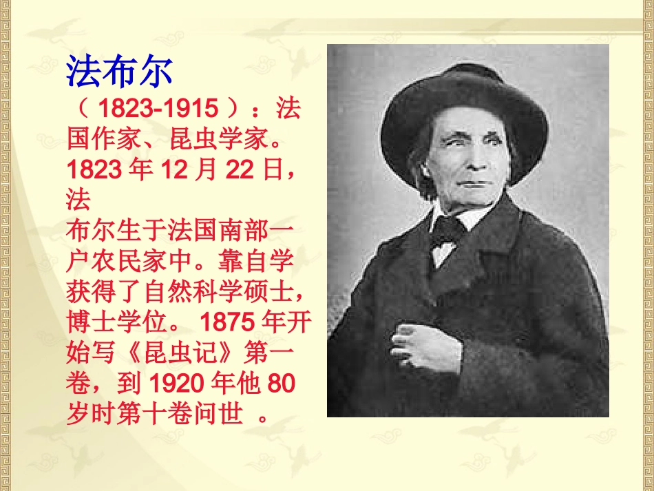 《绿色蝈蝈》参考课件1_第2页