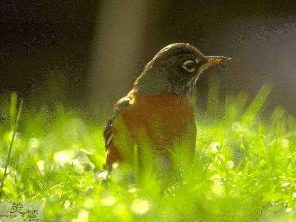 《春》[1]_第2页