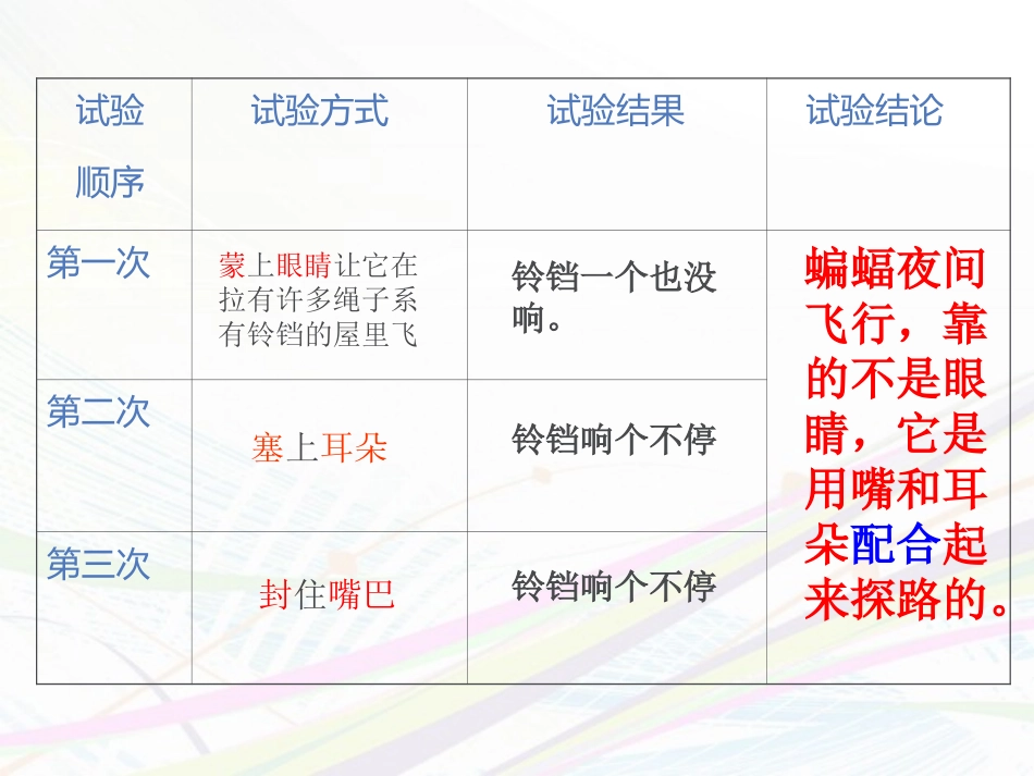 程红娟蝙蝠和雷达_第3页