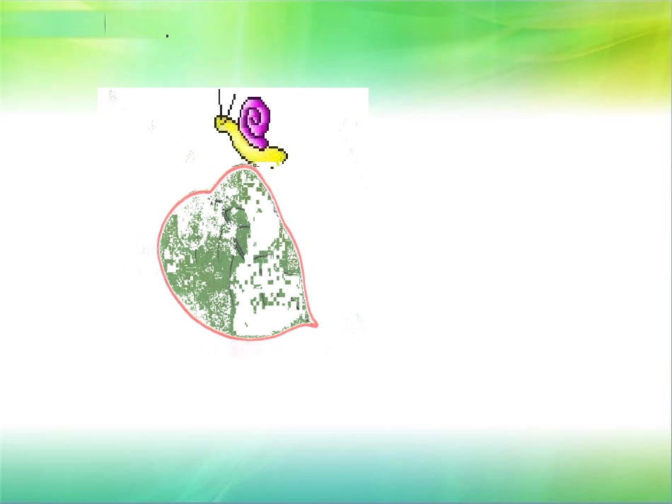 北师大版数学三年级上册《周长的认识》PPT课件(郭玉萍)_第3页