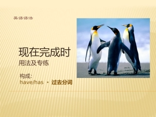 中考英语---现在完成时