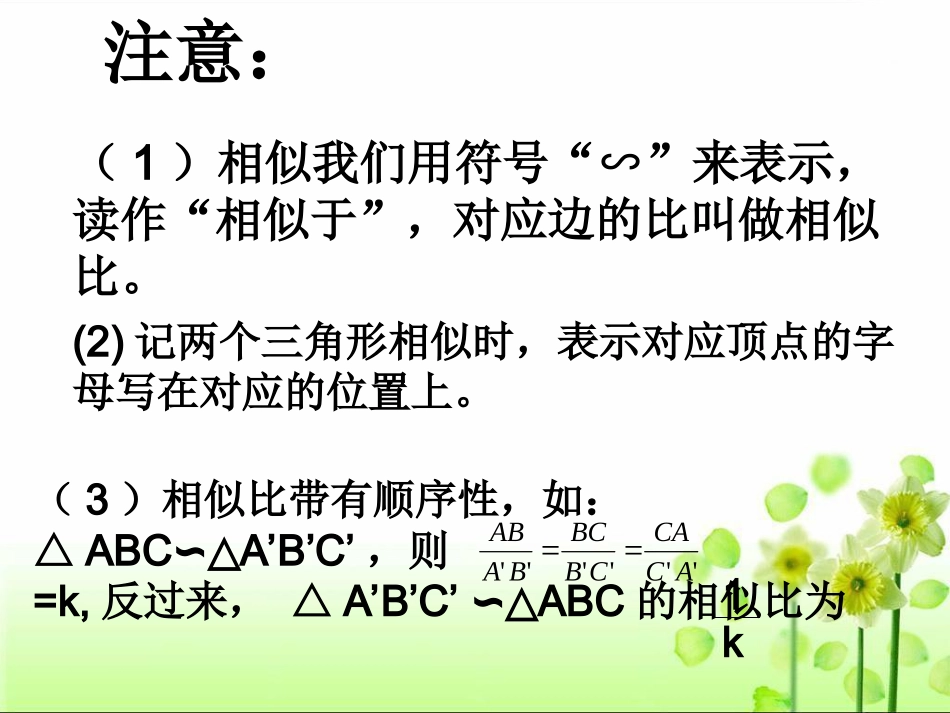 相似三角形的判定(第课时)_第3页