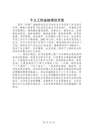 个人工作总结项目开发 