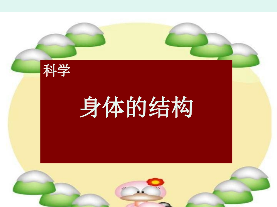 科学《身体的结构》_第1页