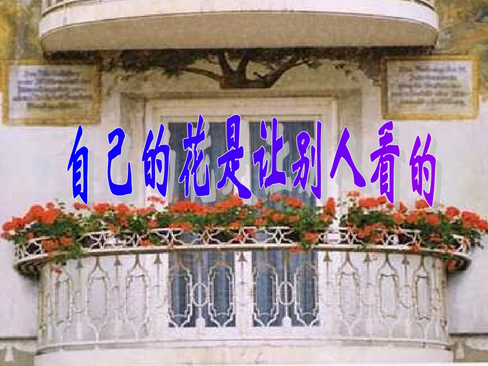 自己的花是让别人看_第1页