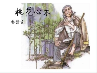 《桃花心木》课件 (2)